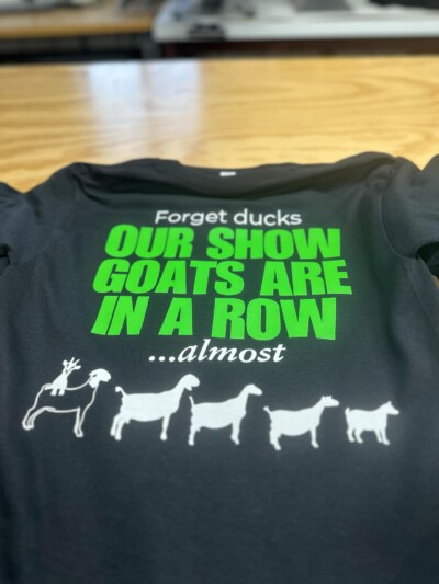 4H Goat 25
