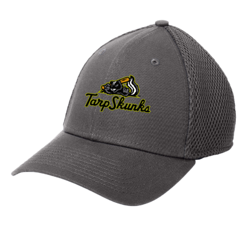 Jamestown Tarp Skunks - FlexFit Cap - Charcoal EMBROIDERED