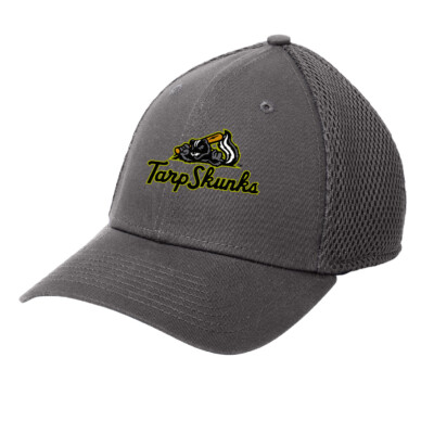 Jamestown Tarp Skunks – FlexFit Cap – Charcoal EMBROIDERED product image