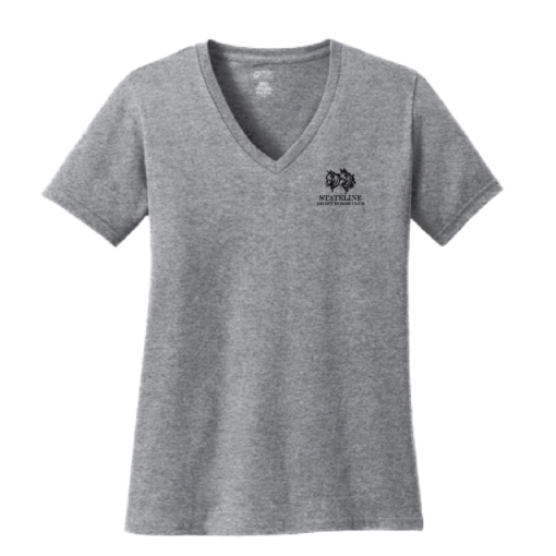 Stateline Draft Club - Ladies V-Neck Cotton Short Sleeve Shirt - Athletic Heather