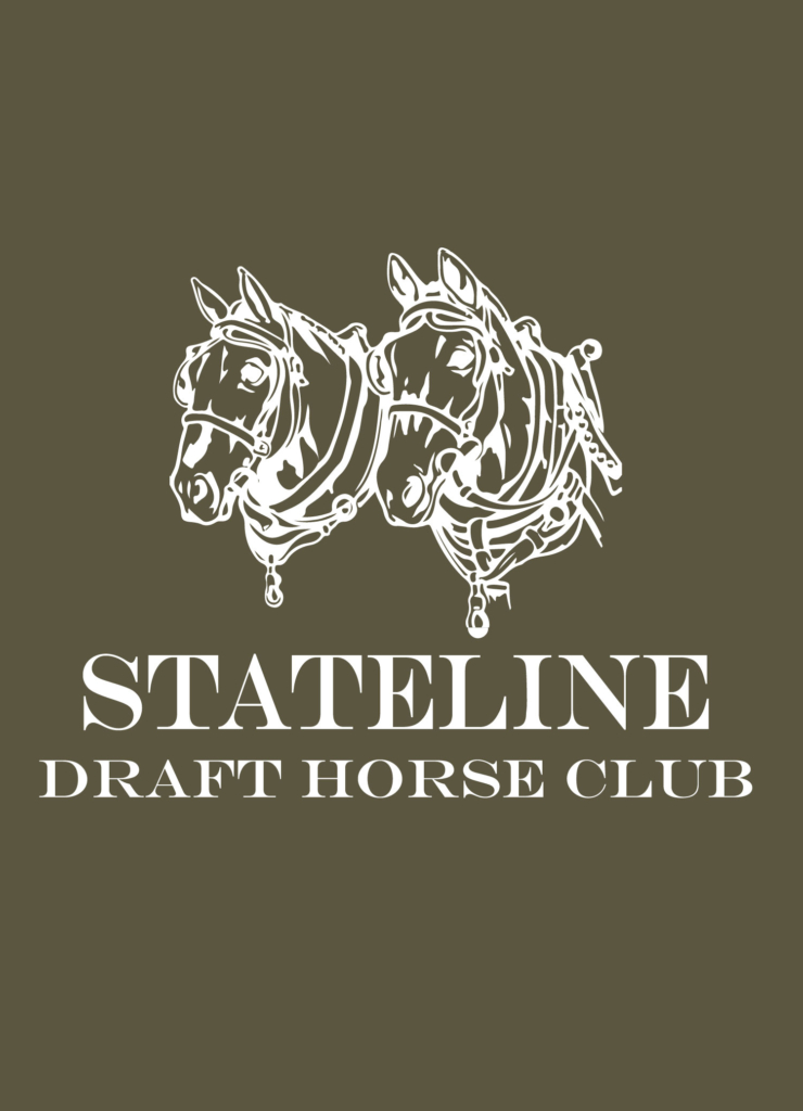 Stateline Draft Club logo