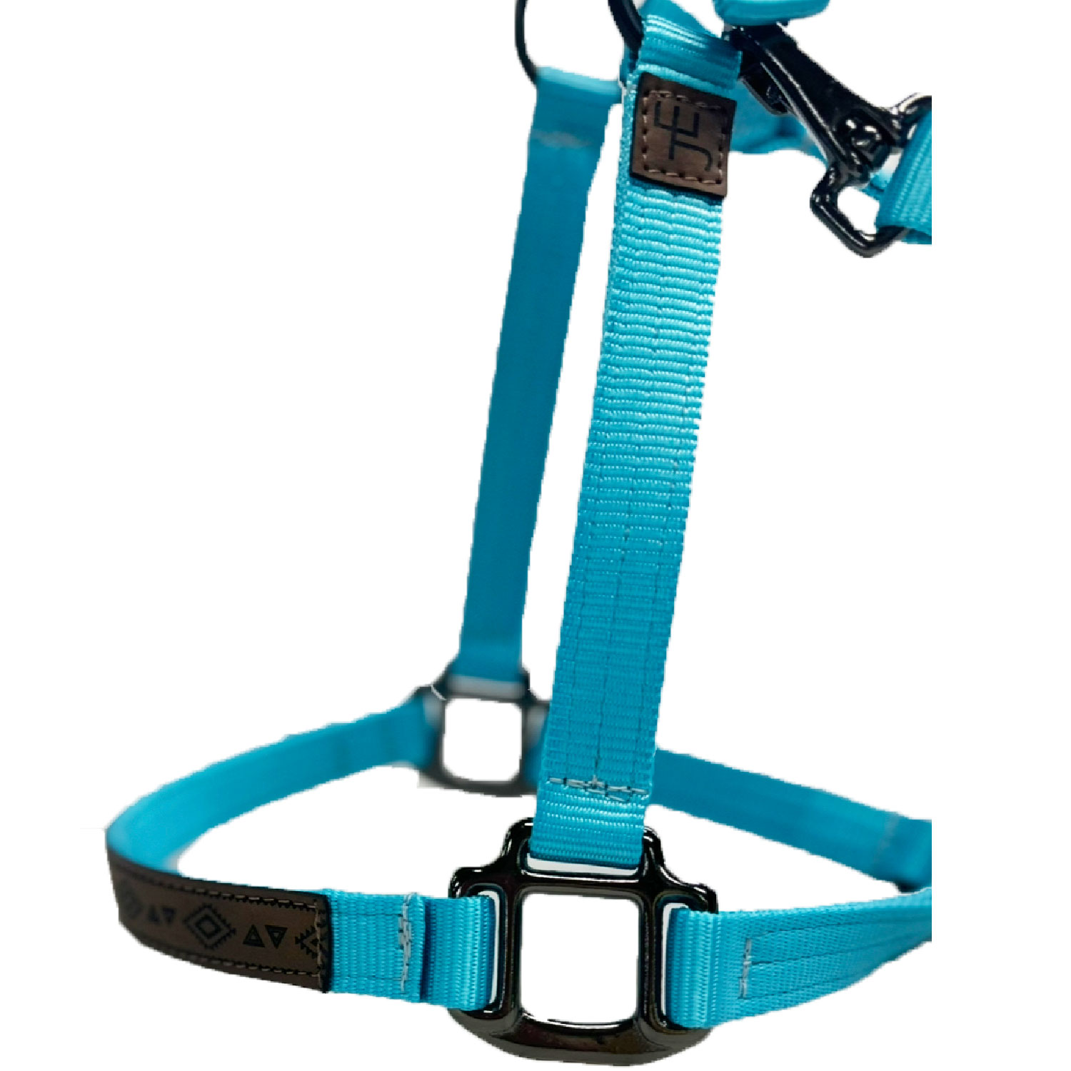 Official Julia Elle Merch Store - Halter -Turquoise - with Laser Engraved Nose Band and JE - Image 3