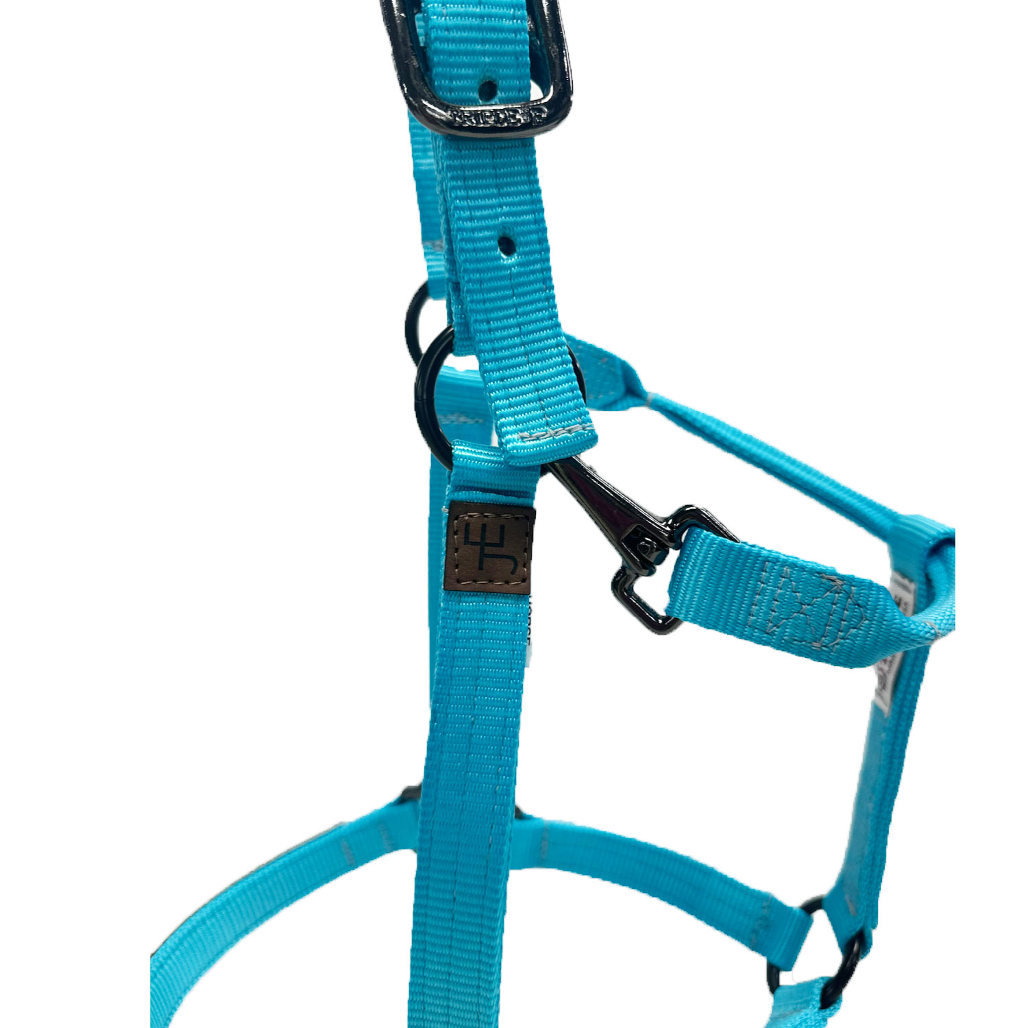 Official Julia Elle Merch Store - Halter -Turquoise - with Laser Engraved Nose Band and JE - Image 2