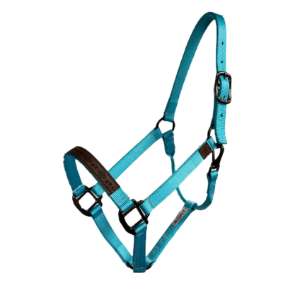 Official Julia Elle Merch Store – Halter -Turquoise – with Laser Engraved Nose Band and JE product image