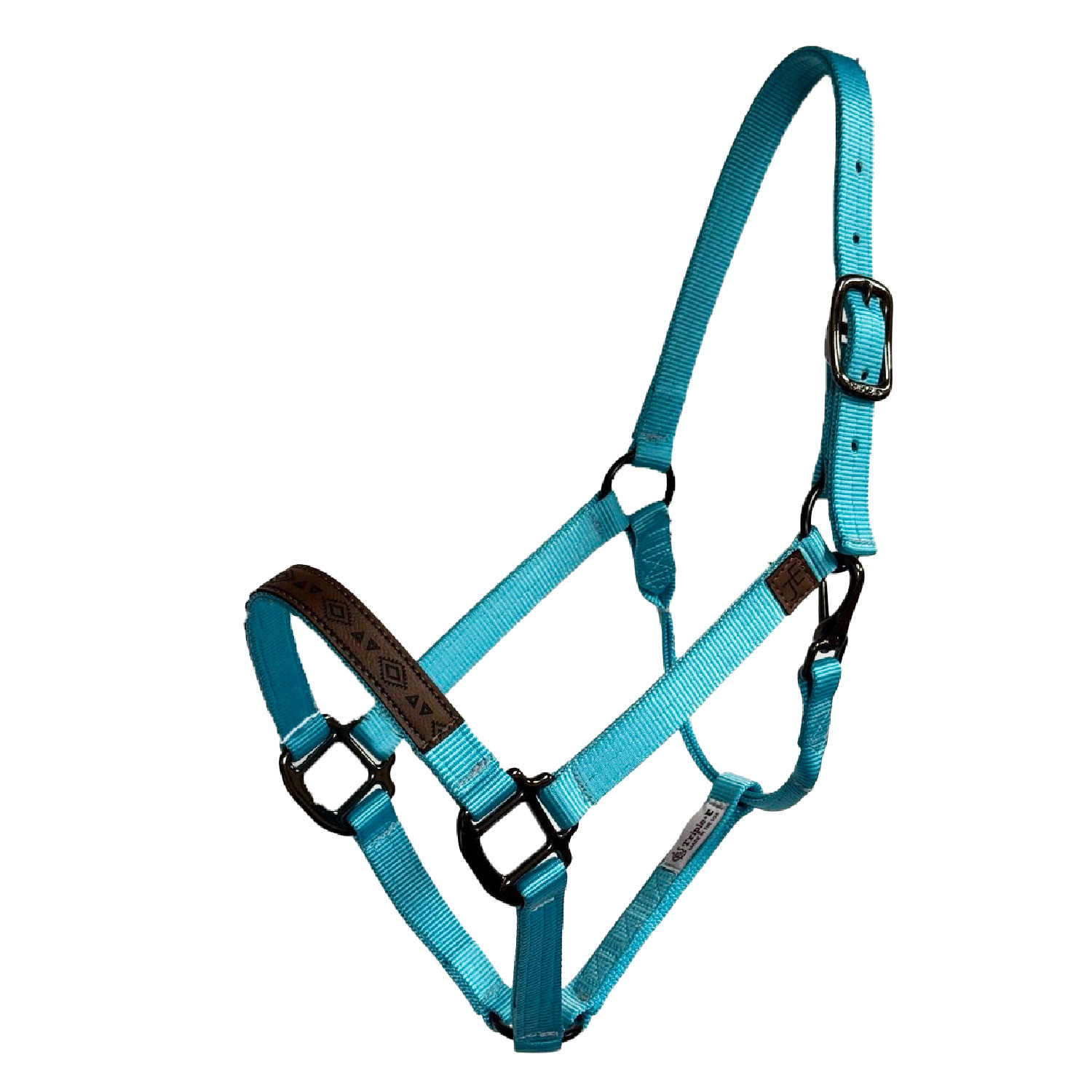 Official Julia Elle Merch Store – Halter -Turquoise – with Laser Engraved Nose Band and JE product image