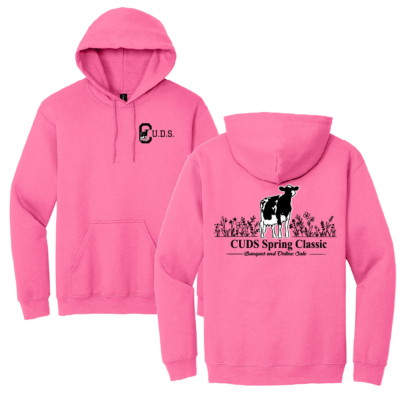 CUDS Spring Sale – Heavy Blend Hooded Sweatshirt – Safety Pink product image