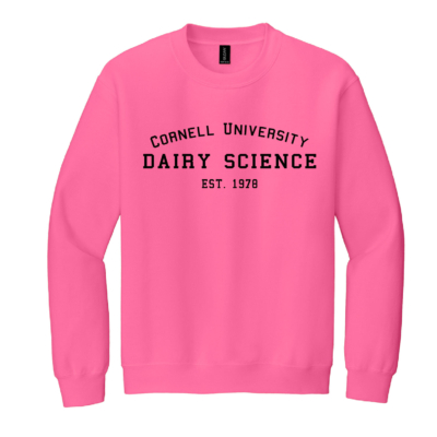 CUDS Spring Sale – Heavy Blend Crewneck Sweatshirt – Safety Pink product image