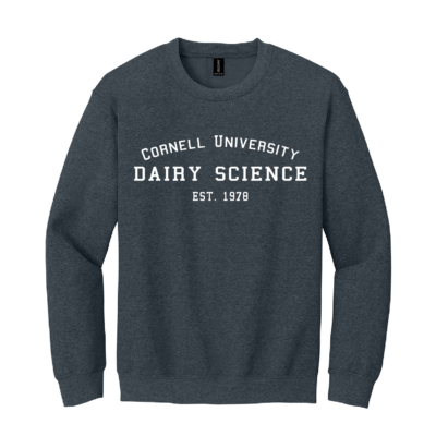 CUDS Spring Sale – Heavy Blend Crewneck Sweatshirt – Dark Heather product image