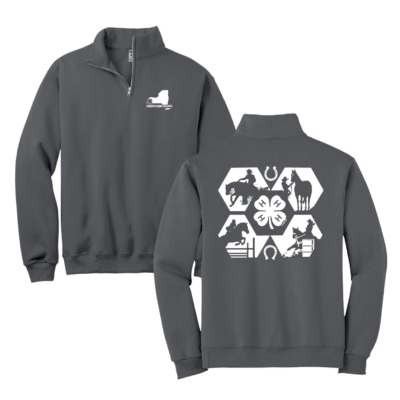 Horse Program 4H – Cadet Collar Quarter-Zip Sweatshirt – Charcoal product image