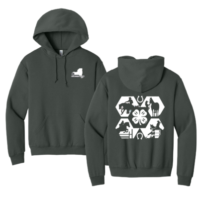 Horse Program 4H – Cotton Hooded Sweatshirt – Charcoal product image